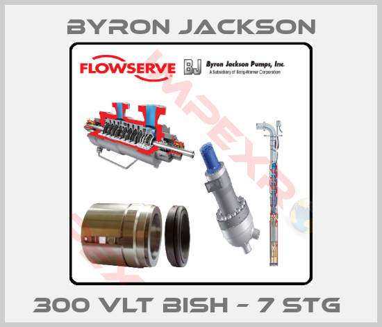Byron Jackson-300 VLT BISH – 7 STG 