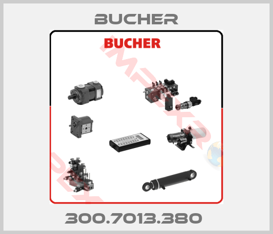 Bucher-300.7013.380 