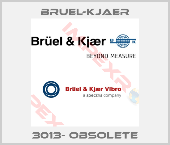 Bruel-Kjaer-3013- obsolete