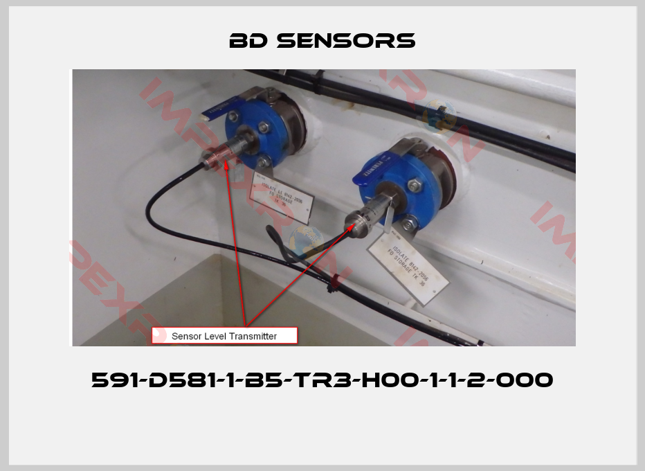 Bd Sensors-591-D581-1-B5-TR3-H00-1-1-2-000 