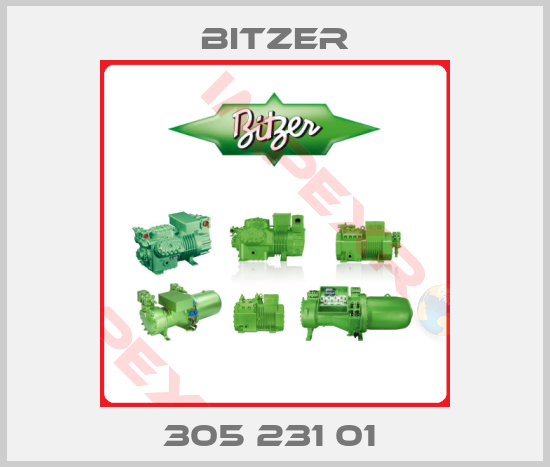 Bitzer-305 231 01 
