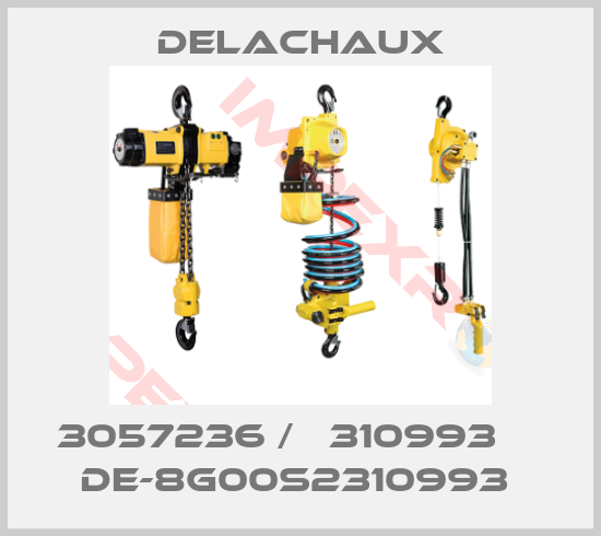 Delachaux-3057236 /   310993     DE-8G00S2310993 