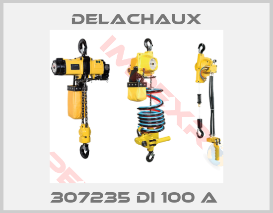 Delachaux-307235 DI 100 A 