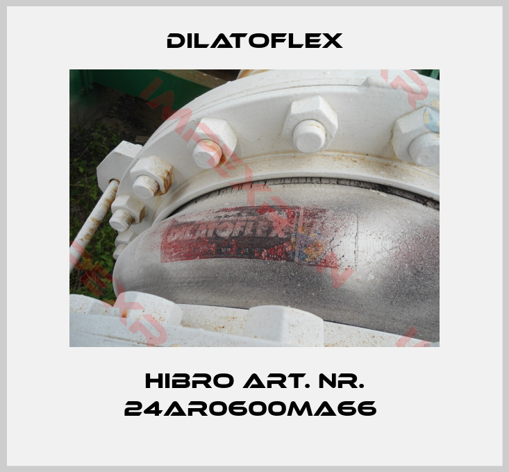DILATOFLEX-Hibro Art. Nr. 24AR0600MA66 