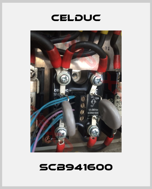 Celduc-SCB941600