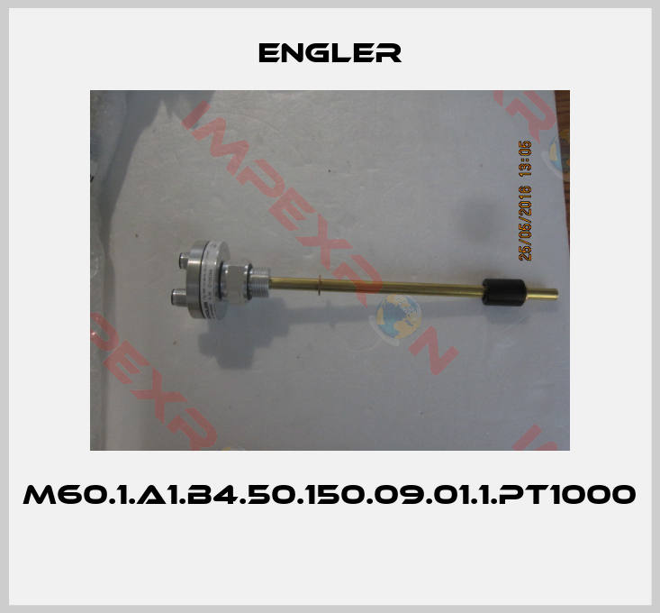 Engler-M60.1.A1.B4.50.150.09.01.1.PT1000 