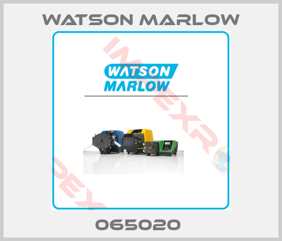 Watson-Marlow Bredel-065020 