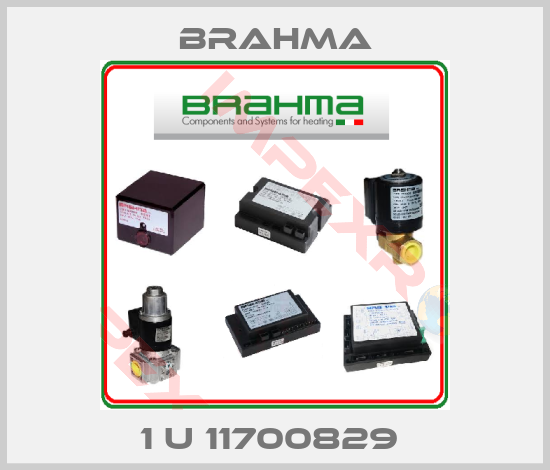 Brahma-1 U 11700829 