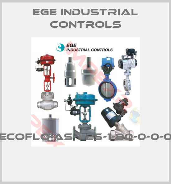EGE industrial controls-ECOFLO-AS-1-25-1-80-0-0-0 