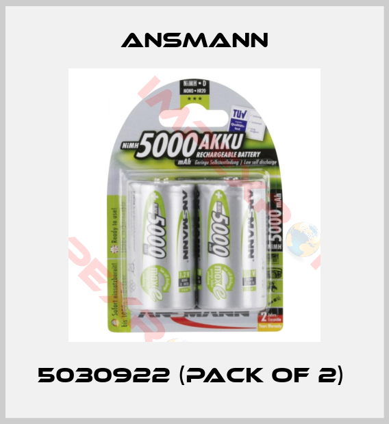 Ansmann-5030922 (pack of 2) 