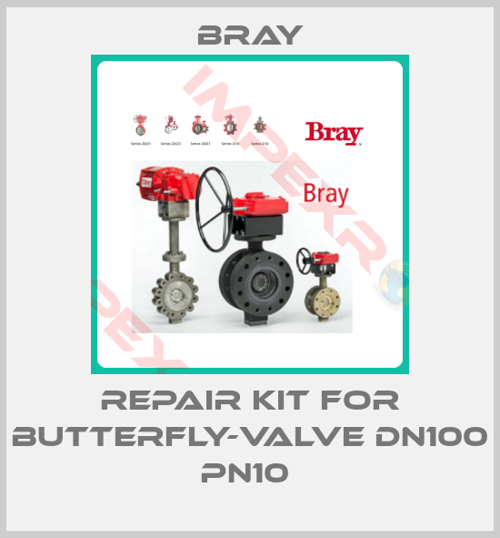 Bray-Repair kit for butterfly-valve DN100 PN10 