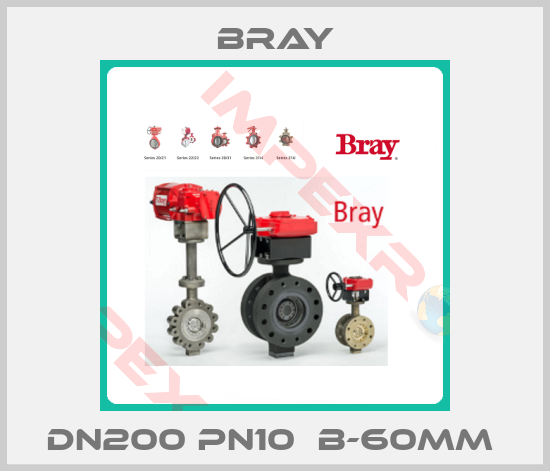 Bray-DN200 PN10  B-60mm 