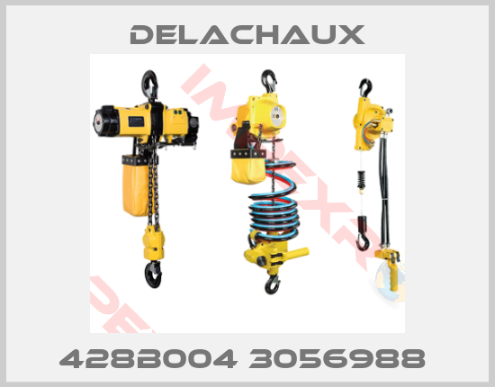 Delachaux-428B004 3056988 