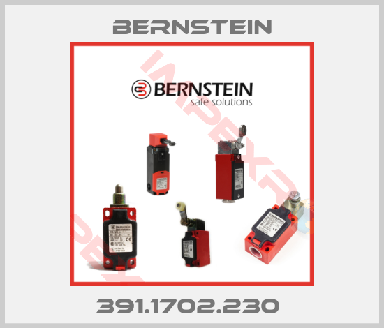 Bernstein-391.1702.230 
