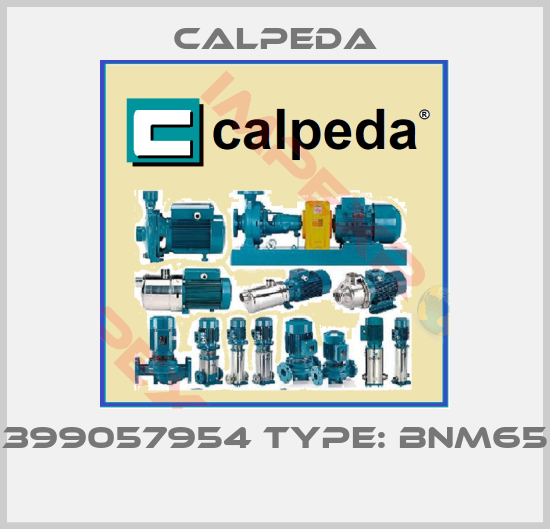 Calpeda-399057954 TYPE: BNM65 