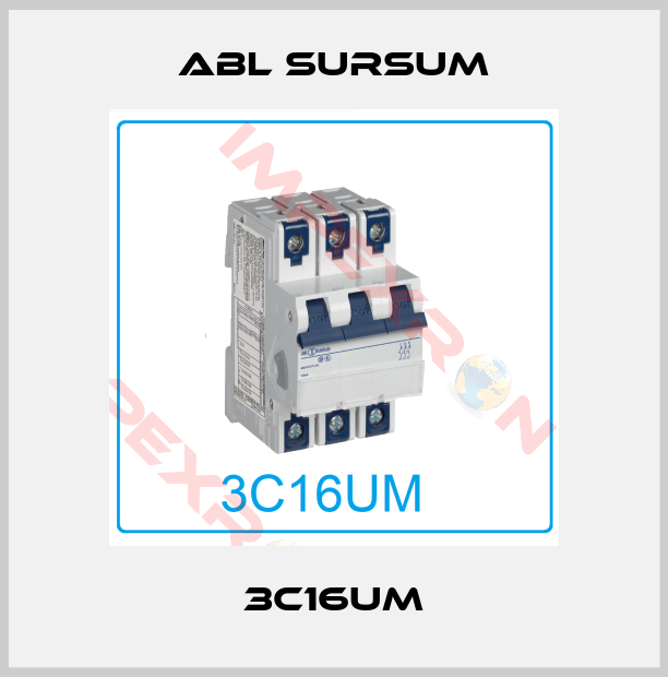 Abl Sursum-3C16UM