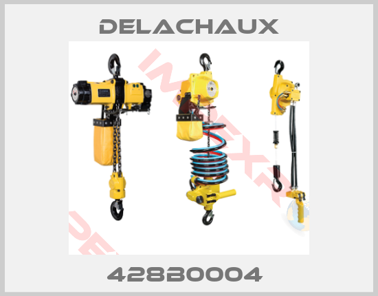 Delachaux-428B0004 
