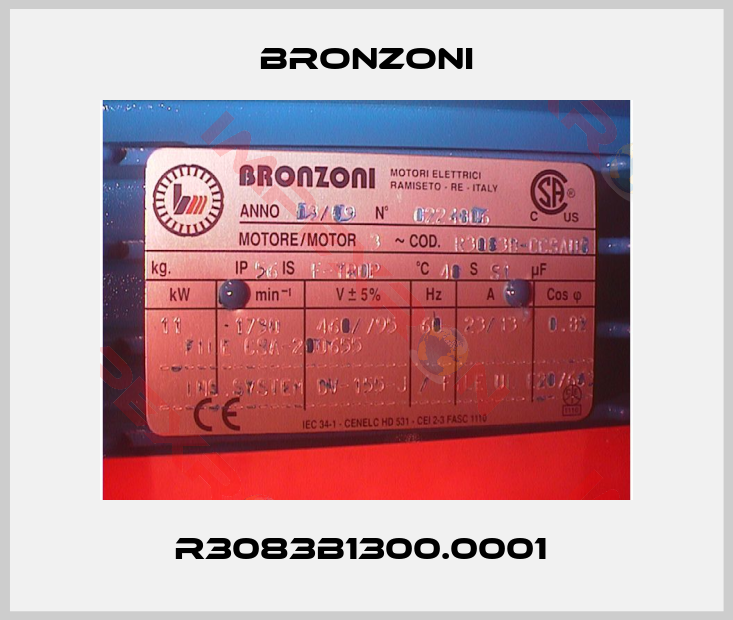Bronzoni-R3083B1300.0001 
