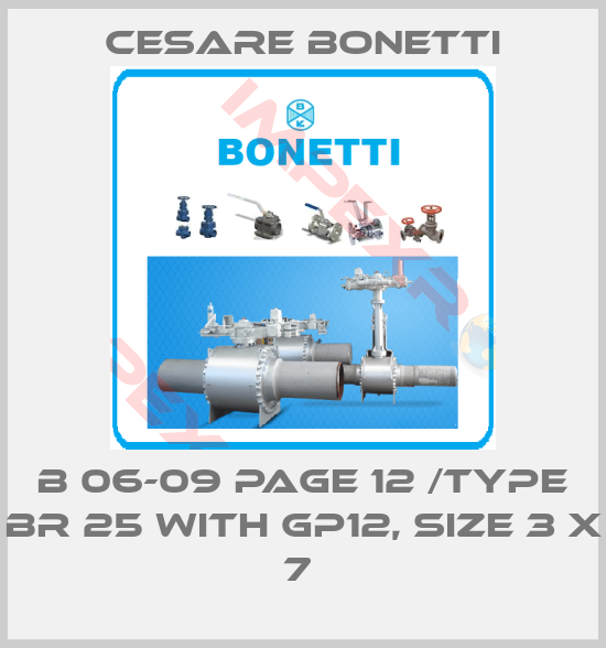 Cesare Bonetti-B 06-09 PAGE 12 /TYPE BR 25 WITH GP12, SIZE 3 X 7 