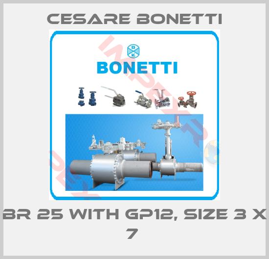 Cesare Bonetti-BR 25 WITH GP12, SIZE 3 X 7 