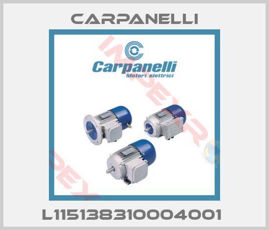 Carpanelli-L115138310004001 