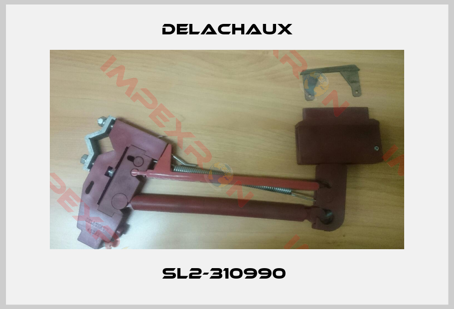 Delachaux-SL2-310990 