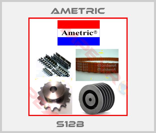 Ametric-S12B     