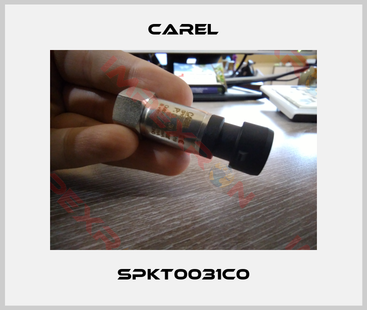 Carel-SPKT0031C0