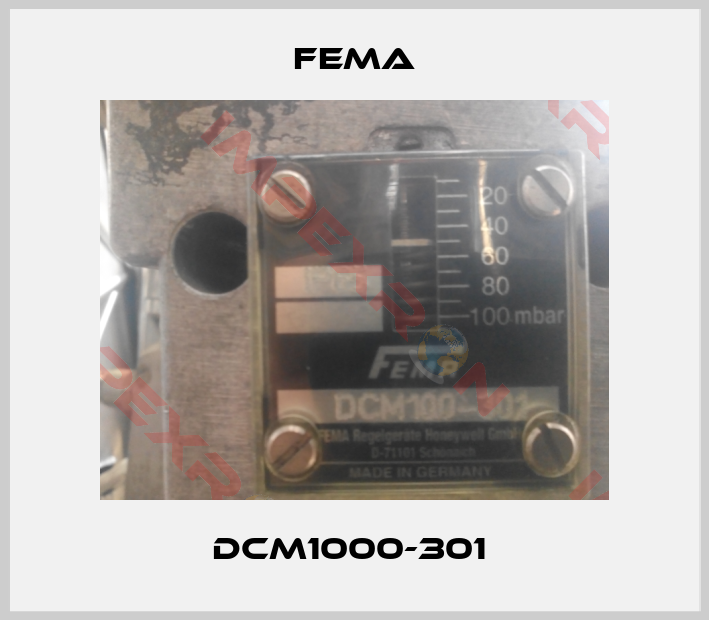 FEMA-DCM1000-301 