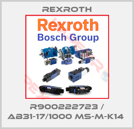 Rexroth-R900222723 / AB31-17/1000 MS-M-K14 