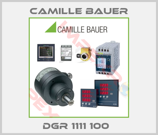 Camille Bauer-DGR 1111 100  