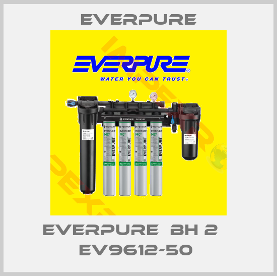 Everpure-EVERPURE  BH 2    EV9612-50 