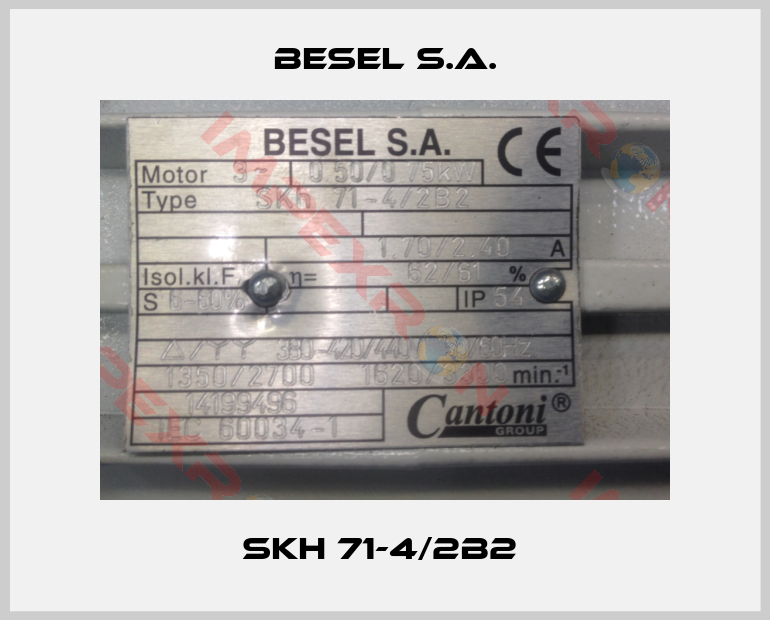 BESEL S.A.-SKh 71-4/2B2 