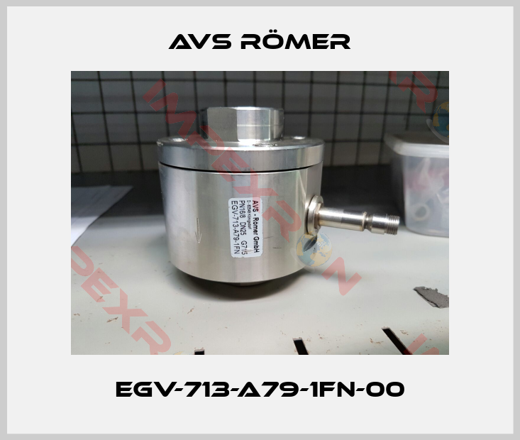 Avs Römer-EGV-713-A79-1FN-00