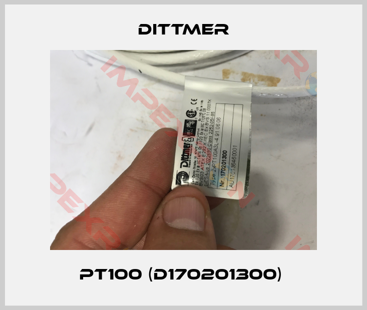 Dittmer-PT100 (D170201300) 