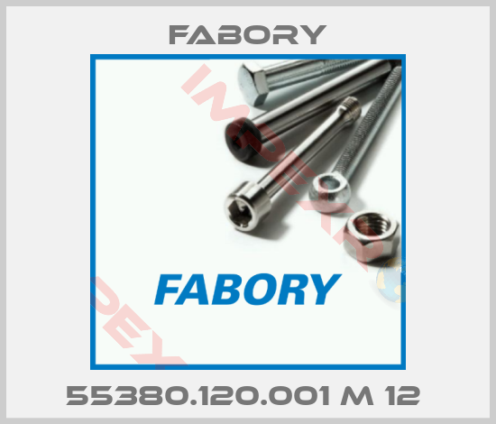 Fabory-55380.120.001 M 12 