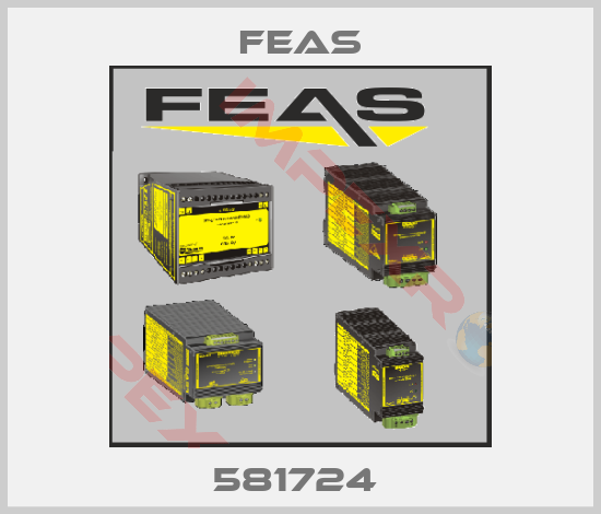 Feas-581724 