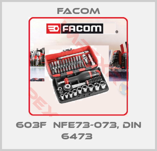 Facom-603F  NFE73-073, DIN 6473 