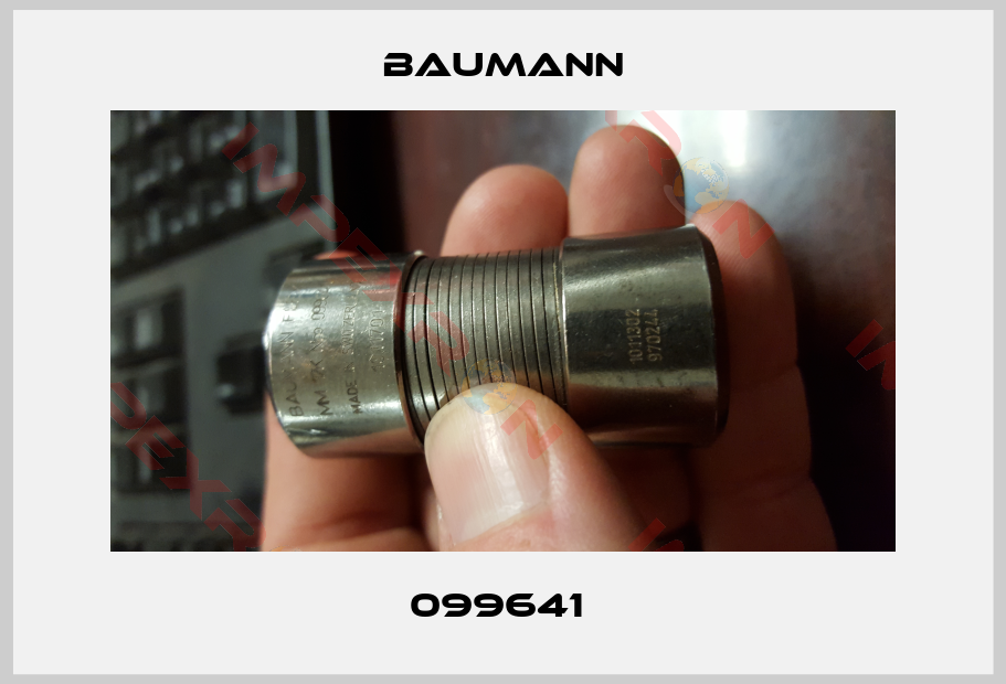 Baumann-099641 