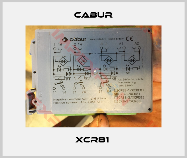 Cabur-XCR81 