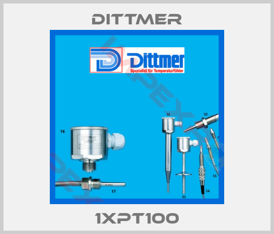 Dittmer-1XPT100