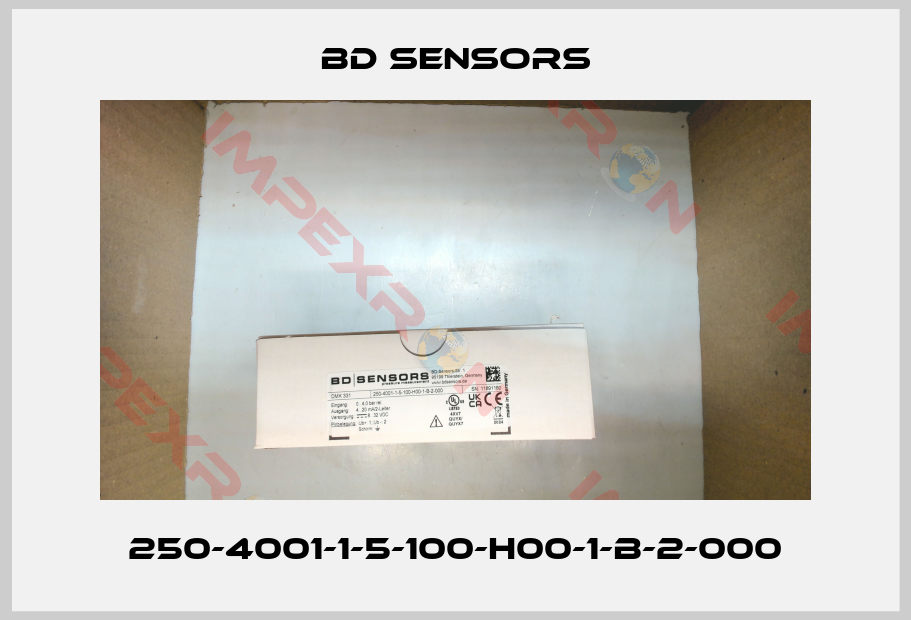 Bd Sensors-250-4001-1-5-100-H00-1-B-2-000