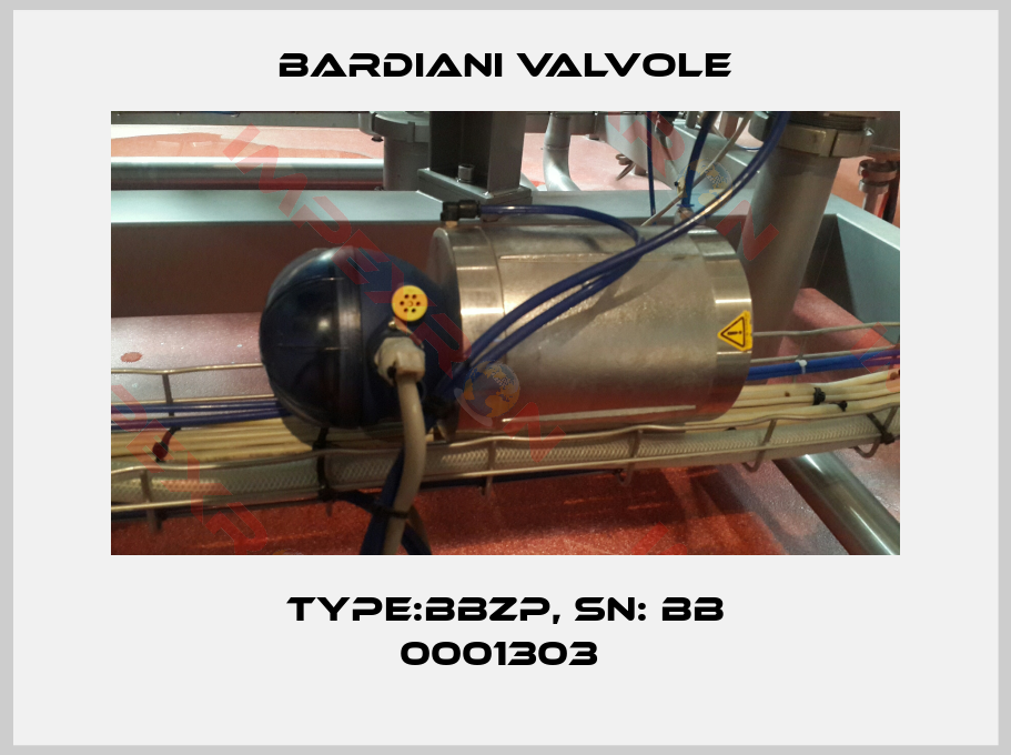 Bardiani Valvole-TYPE:BBZP, SN: BB 0001303 