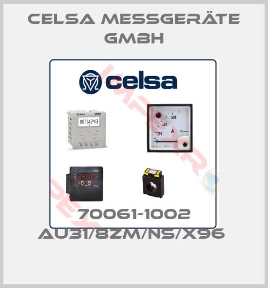 CELSA MESSGERÄTE GMBH-70061-1002 AU31/8ZM/NS/X96 
