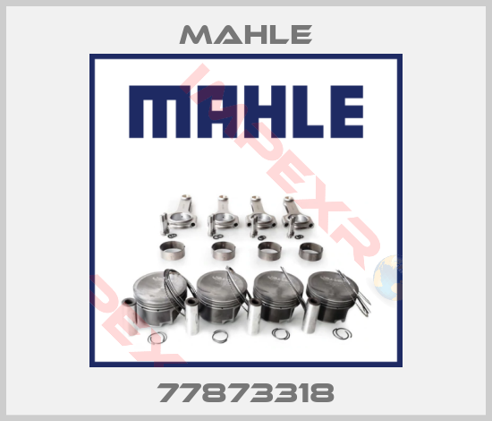 MAHLE-77873318