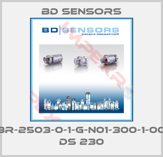 Bd Sensors-78R-2503-0-1-G-N01-300-1-000  DS 230