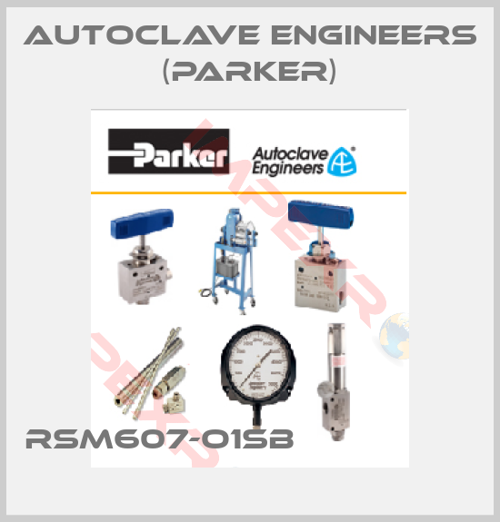Autoclave Engineers (Parker)-RSM607-O1SB                  