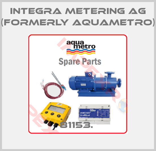 Integra Metering AG (formerly Aquametro)-81153. 