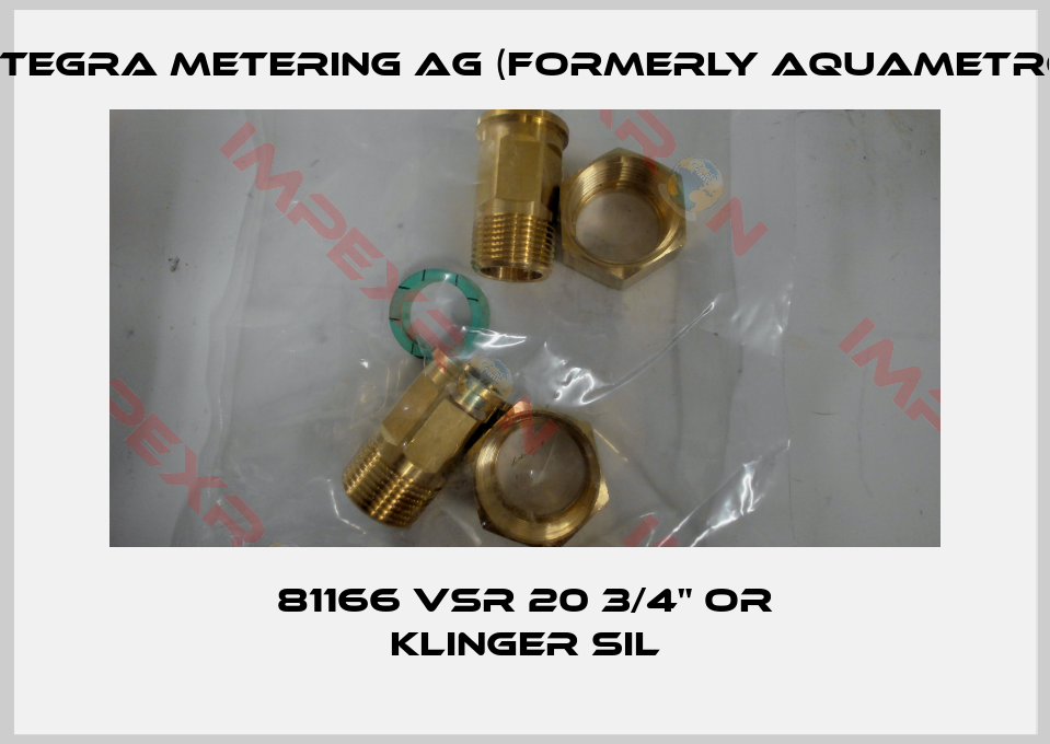 Integra Metering AG (formerly Aquametro)-81166 VSR 20 3/4" OR KLINGER SIL