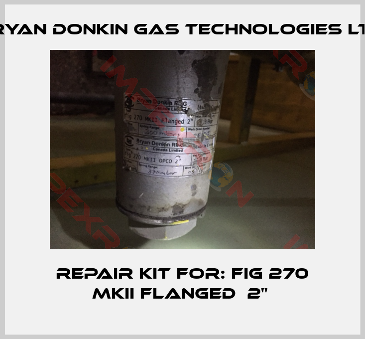 Bryan Donkin Gas Technologies Ltd.- Repair Kit For: fig 270 MKII Flanged  2" 